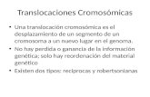 Translocaciones Cromosomicas