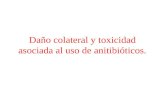 Daño colateral y toxicidad asociada al uso de anitibióticos.