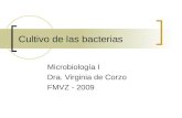 Cultivo de las bacterias Microbiología I Dra. Virginia de Corzo FMVZ - 2009.
