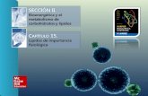 SECCIÓN II. Bioenergética y el metabolismo de carbohidratos y lípidos C APÍTULO 15. Lípidos de importancia fisiológica.