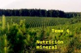Tema 6 Nutrición mineral. C, H, O (90-95%) Fracción mineral (5-10%) MACRO y MICRONUTRIENTES Macronutrientes Micronutrientes Macronutrientes N P S Ca K.
