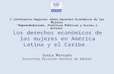 Los derechos económicos de las mujeres en América Latina y el Caribe. Sonia Montaño Directora División Asuntos de Género I Conferencia Regional sobre Derechos.