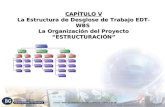 LA EDT –WBS – LA ORGANIZACIÓN DEL PROYECTO - CAP V- 1 de 49 CAPÍTULO V La Estructura de Desglose de Trabajo EDT- WBS La Organización del Proyecto ESTRUCTURACIÓN.
