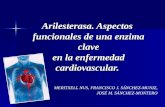Arilesterasa. Aspectos funcionales de una enzima clave en la enfermedad cardiovascular. MERITXELL NUS, FRANCISCO J. SÁNCHEZ-MUNIZ, JOSÉ M. SÁNCHEZ-MONTERO.