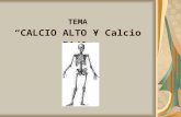 TEMA CALCIO ALTO Y Calcio BAJO. INTRODUCCIÓN El humano posee un 99% de calcio en nuestro cuerpo. El 1% restante se encuentra en tejidos y fluidos corporales.
