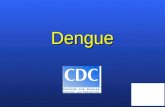 Dengue. Epidemiología La diversidad antigénica del virus del dengue es importante, ya que la falta a largo plazo de la inmunidad cruzada entre los cuatro.