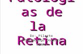 Patologías de la Retina Patologías de la Retina Dr: Pilarte Oftalmólogo Docente CENAO.