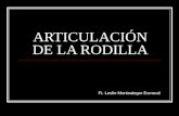ARTICULACIÓN DE LA RODILLA Ft. Leslie Montealegre Esmeral.
