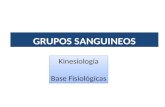 GRUPOS SANGUINEOS Kinesiología Base Fisiológicas Kinesiología Base Fisiológicas.