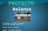 Proyecto Balanza -Grupo b