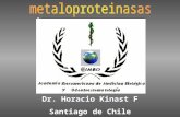 Dr. Horacio Kinast F Santiago de Chile. METALOPROTEINASAS SU REALIDAD EN - CARDIOLOGÍA - PERIODONCIA -ONCOLOGIA Un enfoque diferente.