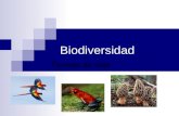 Biodiversidad Formas de vida. Biodiversidad Es la variedad de seres vivos que habitan en la tierra Diversidad de Especies Diversidad Genética Diversidad.