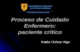 Proceso de Cuidado Enfermero: paciente critico Kattia Ochoa Vigo Facultad de Enfermería UNIVERSIDAD PERUANA CAYETANO HEREDIA.