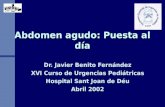 Abdomen agudo: Puesta al día Dr. Javier Benito Fernández XVI Curso de Urgencias Pediátricas Hospital Sant Joan de Déu Abril 2002.
