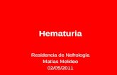 Hematuria Residencia de Nefrología Matías Melideo 02/05/2011.