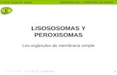 © Prof. Víctor M. Vitoria MARIANISTAS + COMPAÑÍA DE MARÍA 1 LISOSOSOMAS Y PEROXISOMAS Los orgánulos de membrana simple.