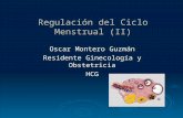 Regulación del Ciclo Menstrual (II) Oscar Montero Guzmán Residente Ginecología y Obstetricia HCG.