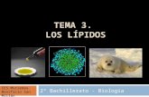 TEMA 3. LOS LÍPIDOS 2º Bachillerato - Biología IES Muriedas Bonifacio San Millán.