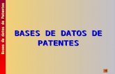 BASES DE DATOS DE PATENTES Bases de datos de Patentes.