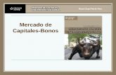 Mercado de Capitales-Bonos. Profesor: Miguel Angel Martín Bonos Los bonos y obligaciones son títulos que usualmente pagan intereses periódicos, a los.