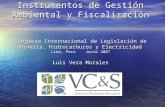 Instrumentos de Gestión Ambiental y Fiscalización Congreso Internacional de Legislación de Minería, Hidrocarburos y Electricidad Lima, Perú Junio 2007.