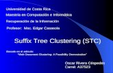 Universidad de Costa Rica Maestría en Computación e Informática Recuperación de la Información Profesor: Msc. Edgar Casasola Suffix Tree Clustering (STC)