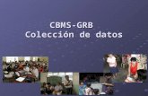 CBMS-GRB Colección de datos. Implementa la colecci ó n de datos por un censos de los hogares en todos los barangays de una municipalidad o ciudad o provincia.