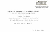 Comisión Nacional de Energía Eléctrica 15 de Abril 2008 Seguridad Energetica: Diversificación de las matrices energéticas Cesar Fernández Comisionado de.