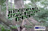 Elaborada por:. Antecedentes Bolivia posee una riqueza forestal de aproximadamente 53.4 millones de hectáreas (alrededor del 48% de su superficie) El.