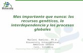 Mas importante que nunca: los recursos genéticos, la interdependencia y los procesos globales Marleni Ramirez, Ph.D., Bioversity International, Americas.