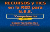 RECURSOS y TICS en la RED para N.E.E. Gaspar González Rus (gaspar-gonzalez@educa.madrid.org) Competencias Digitales Marzo 2009.