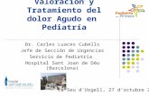 Valoración y Tratamiento del dolor Agudo en Pediatría Dr. Carles Luaces Cubells Jefe de Sección de Urgencias Servicio de Pediatría Hospital Sant Joan de.