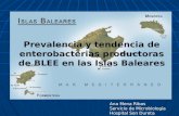 Ana Mena Ribas Servicio de Microbiología Hospital Son Dureta Prevalencia y tendencia de enterobacterias productoras de BLEE en las Islas Baleares.