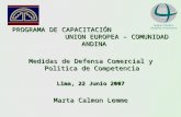 PROGRAMA DE CAPACITACIÓN UNION EUROPEA – COMUNIDAD ANDINA Medidas de Defensa Comercial y Politica de Competencia Lima, 22 Junio 2007 Marta Calmon Lemme.