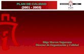 PLAN DE CALIDAD (2001 - 2003) PLAN DE CALIDAD (2001 - 2003) Iñigo Marcos Sagarzazu Director de Organización y Calidad.