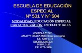 ESCUELA DE EDUCACIÓN ESPECIAL Nº 501 Y Nº 504 MODALIDAD: EDUCACIÓN ESPECIAL CARACTERIZACIÓN: INTELECTUALES ESCUELA Nº 501: AMAT Y CHACABUCO (sede provisoria)