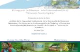 El Programa de Lideres en Salud Internacional (PLSI) Edmundo Granda Ugalde Abordando retos y desafíos en la Región Propuesta de tema de País: Análisis.