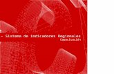 SIR – Sistema de indicadores Regionales Capacitación Carátula.