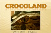 SANTA CRUZ - BOLIVIA. Crocoland SRL. propone una iniciativa para el manejo del Caimán yacaré enmarcado dentro de la logística del Aprovechamiento.