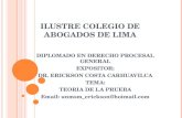 ILUSTRE COLEGIO DE ABOGADOS DE LIMA DIPLOMADO EN DERECHO PROCESAL GENERAL EXPOSITOR: DR. ERICKSON COSTA CARHUAVILCA TEMA: TEORIA DE LA PRUEBA Email: unmsm_erickson@hotmail.com.