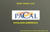 CASO PACAL 1111 PATOLOGIA QUIRÚRGICA CASO CORTESÍA DEL DR. JOSE DE JESUS CURIEL VALDEZ.