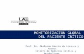 Prof. Dr. Abelardo García de Lorenzo y Mateos Cátedra de Medicina Crítica y Metabolismo MONITORIZACIÓN GLOBAL DEL PACIENTE CRÍTICO.