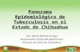 Agosto, 2009 Panorama Epidemiológico de Tuberculosis en el Estado de Chihuahua Dra. Mirna Beltrán Arzaga Responsable Estatal Micobacteriosis Servicios.