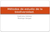 Gabriela Gómez Rodrigo Vargas Métodos de estudio de la biodiversidad.