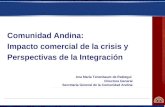 Comunidad Andina: Impacto comercial de la crisis y Perspectivas de la Integración Ana María Tenenbaum de Reátegui Directora General Secretaría General.