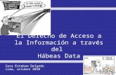 El Derecho de Acceso a la Información a través del Hábeas Data Sara Esteban Delgado Lima, octubre 2010.