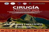 Programa Preliminar Congresos 2012 Perú