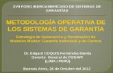 Buenos Aires, 26 de Octubre del 2012 Estrategia de Generación y Penetración de Modelos Mixtos: Garantía Individual y de Cartera XVII FORO IBEROAMERICANO.