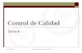 Ignacio CascosDepto. Estadística, Universidad Carlos III1 Control de Calidad Tema 8.