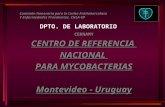Comisión Honoraria para la Lucha Antituberculosa Y Enfermedades Prevalentes. CHLA-EP DPTO. DE LABORATORIO CERNAMY CENTRO DE REFERENCIA NACIONAL PARA MYCOBACTERIAS.
